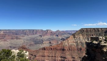 Wide view of the Grand Canyon showing layered red and tan rock formations stretching across the horizon under a clear blue sky, with steep cliffs and sparse green vegetation in the foreground.
