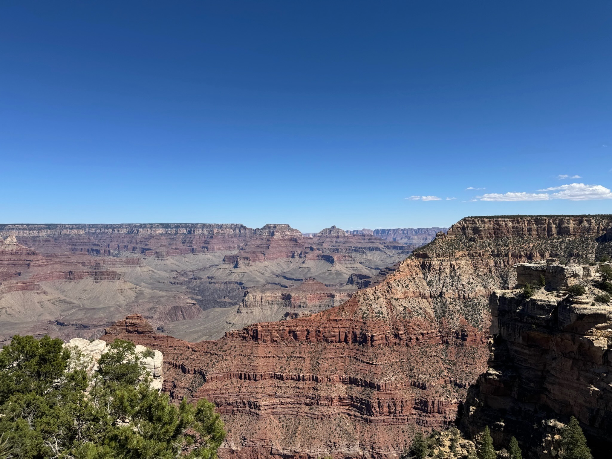 Wide view of the Grand Canyon showing layered red and tan rock formations stretching across the horizon under a clear blue sky, with steep cliffs and sparse green vegetation in the foreground.