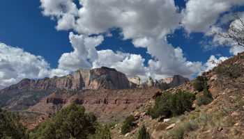 A wide desert landscape in Zion National Park with towering red-rock cliffs, layered mesas, and rugged terrain in the foreground. Clusters of green shrubs and small trees dot the rocky hillside. Dramatic white clouds fill the bright blue sky above the mountains.