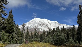 Snow-covered Mount Rainier rises above a dense evergreen forest under a blue sky with drifting clouds. In the foreground, a paved trail cuts through alpine meadow grasses and wild plants, with a person resting beside the path for scale.